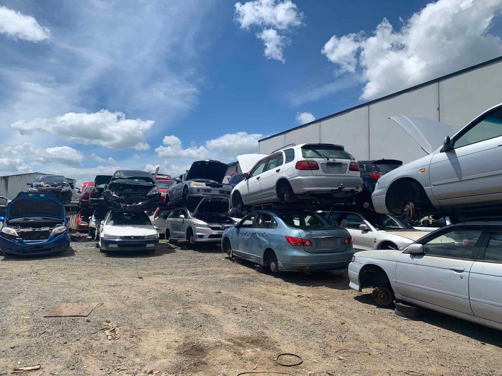 Scrap car yard in Whakatane filled with damaged and dismantled vehicles